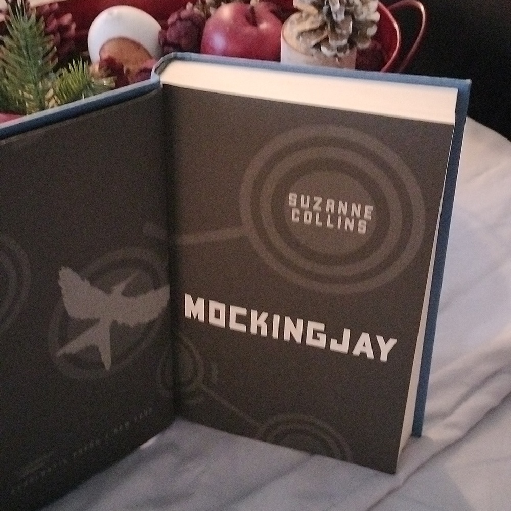 ⚜️ Catching Fire & Mockingjay - Picture 7 of 12